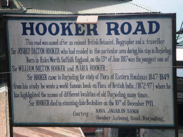 Finally; Halesworth has produced many people who have travelled far and wide and made a significant contribution to the world.<br>
This sign commemorating Joseph Dalton Hooker (after whom Hooker House is named) was photographed by Pam Davies (herself a Halesworth resident) on a visit to Darjeeling in India in March 2011!