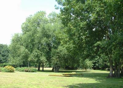 Halesworth Town Park